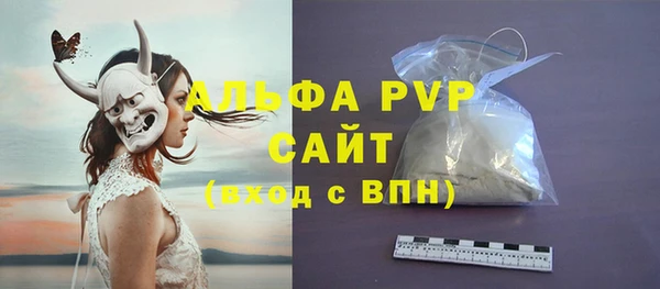 PSILOCYBIN Балахна