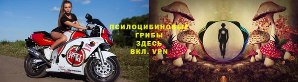 PSILOCYBIN Балахна