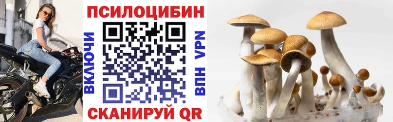 Псилоцибиновые грибы Cubensis  Ершов 