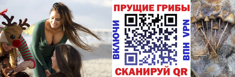 Псилоцибиновые грибы прущие грибы Ершов